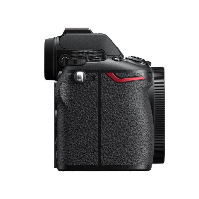 ニコン（Nikon） デジタル一眼カメラ Z50II ボディ : ウインクデジタル