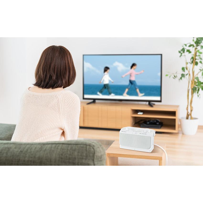 TOSHIBA TOSHIBA テレビオプション TY-WSD20 AUREX TY-WSD20(W
