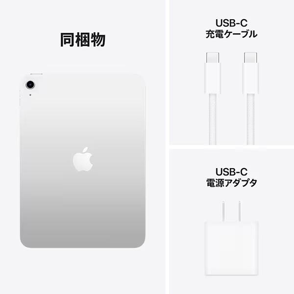 【多少の箱のへこみや傷がある場合があります】APPLE　iPAD(Wi-Fiモデル)　iPad 11インチ Wi-Fi 256GB 2025年春モデル MD4G4J/A [シルバー]の画像