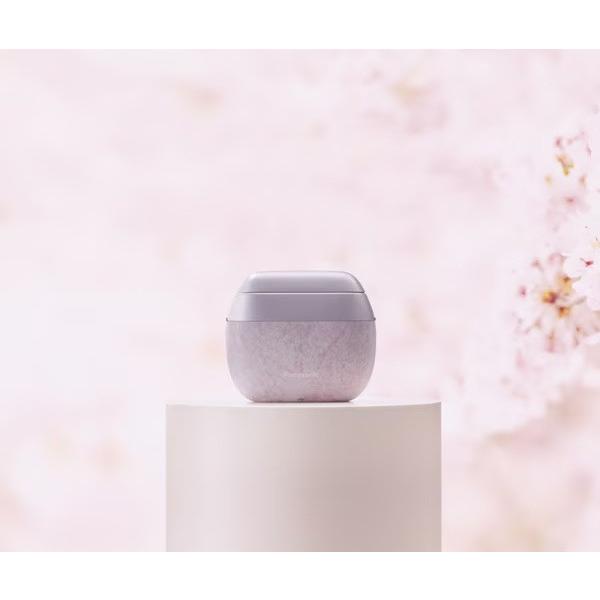 Panasonic ES-PV70-V シェーバー 概要 ラムダッシュ パームイン ES-PV70 | メンズシェーバー | Panasonic