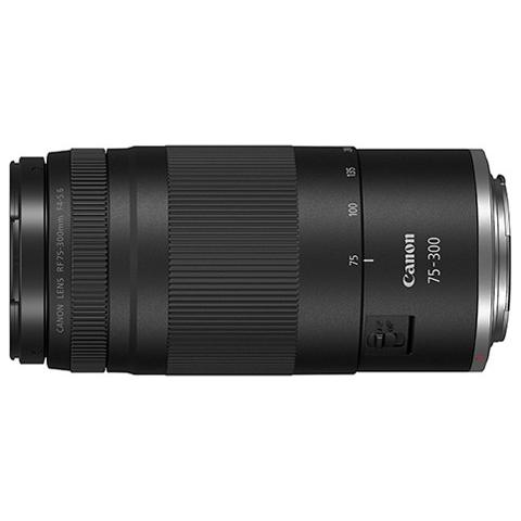 キヤノン（Canon） レンズ RF75-300mm F4-5.6 : ウインクデジタル