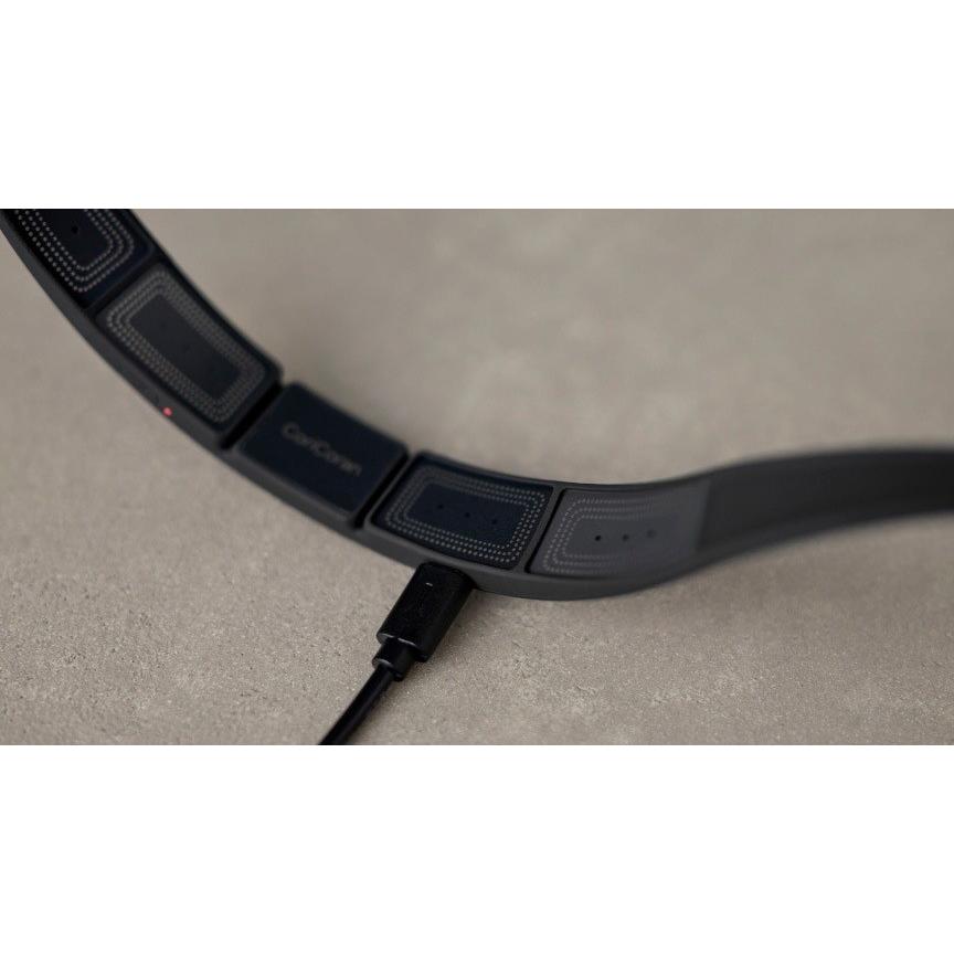 Panasonic（パナソニック） 高周波治療器 コリコランループ EW-RA520-K