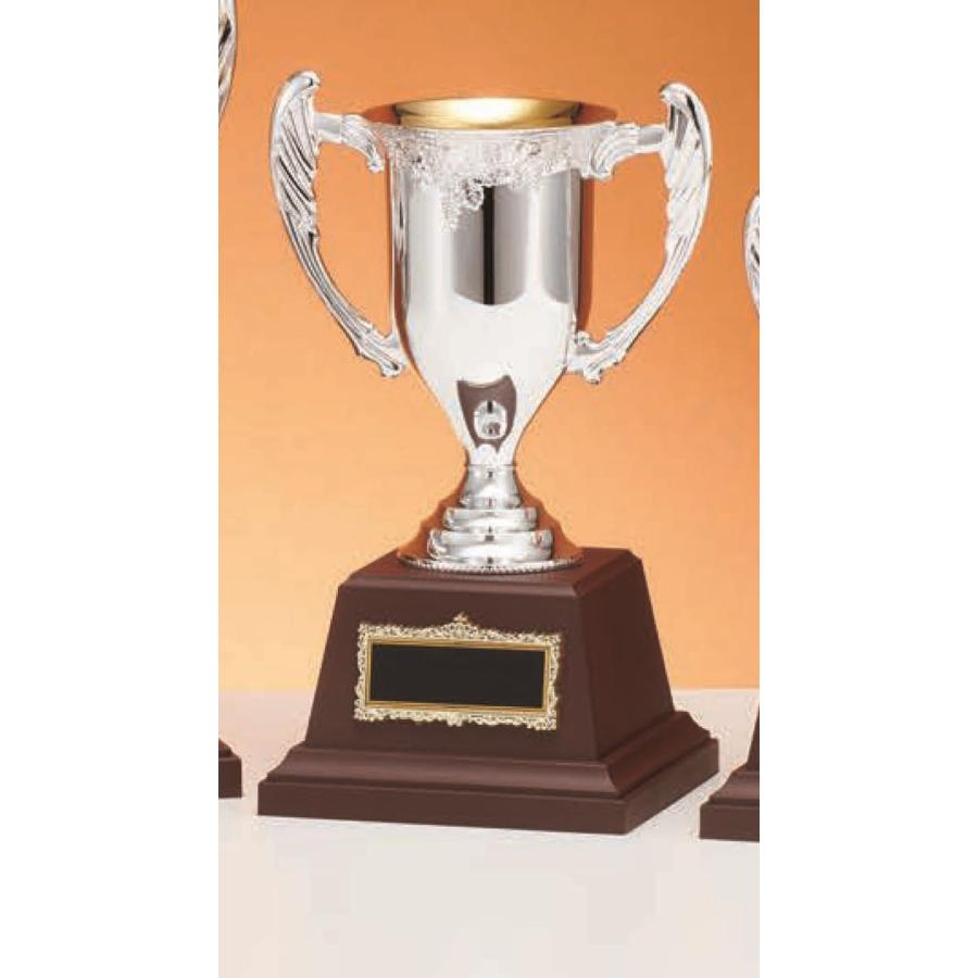 C1735C/N-2]優勝カップ／高さ23cm : カップ・トロフィー専門店Winner 