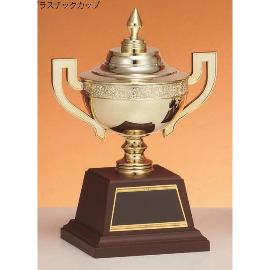 [C1854A/K-14]プラスチックカップ／高さ22cm | 