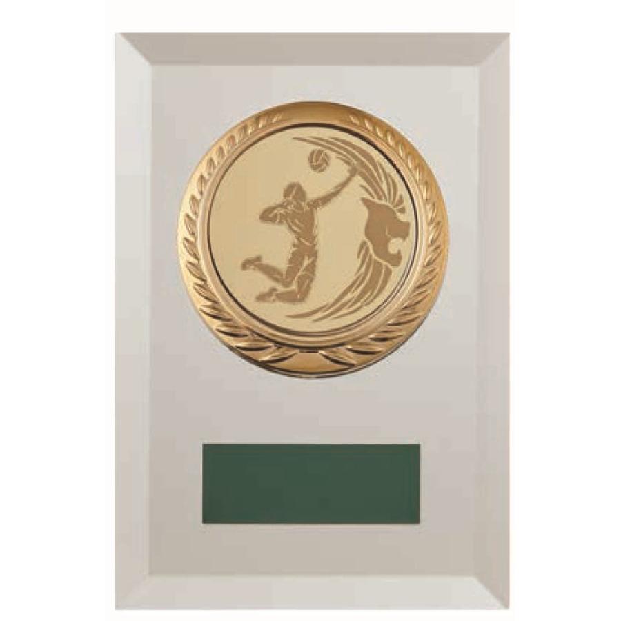 [PW70B/M-2]楯／高さ16cm | 