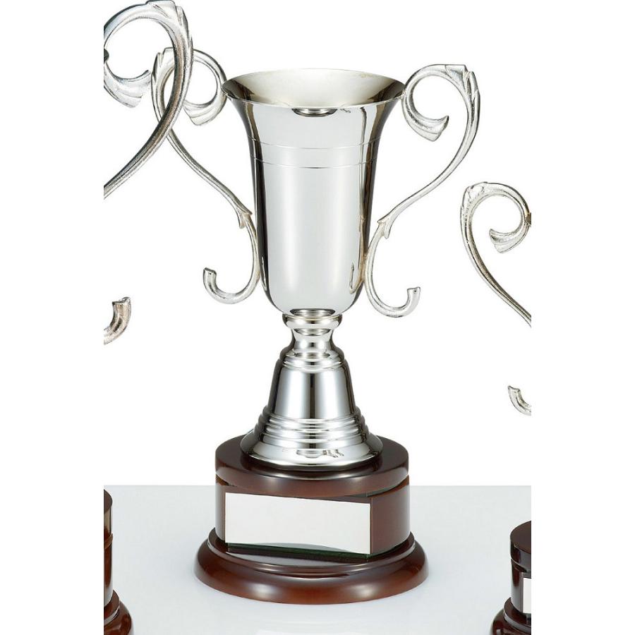 優勝カップトロフィー 高さ29cm C1065b 世界の