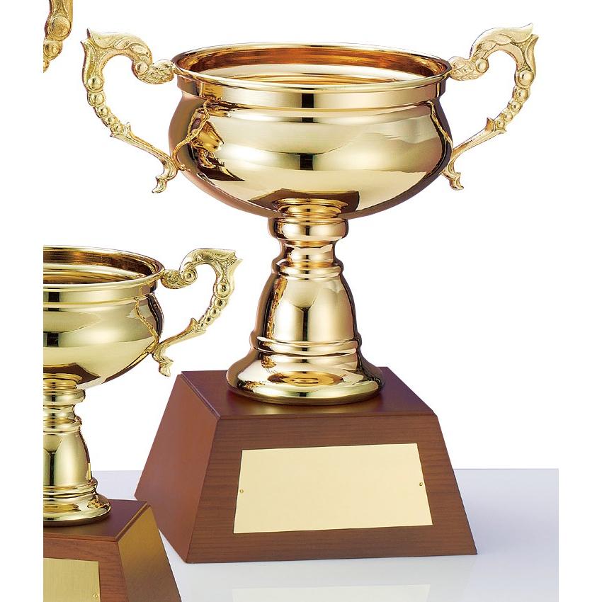 内祝い 優勝カップ 高さ35cm C1081c 楽天1位 Kuljic Com