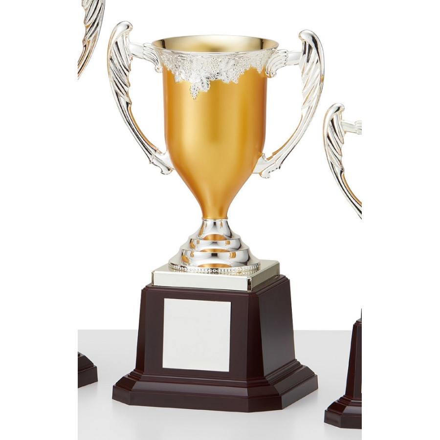 優勝カップトロフィー 高さ24cm C1622c 国内在庫
