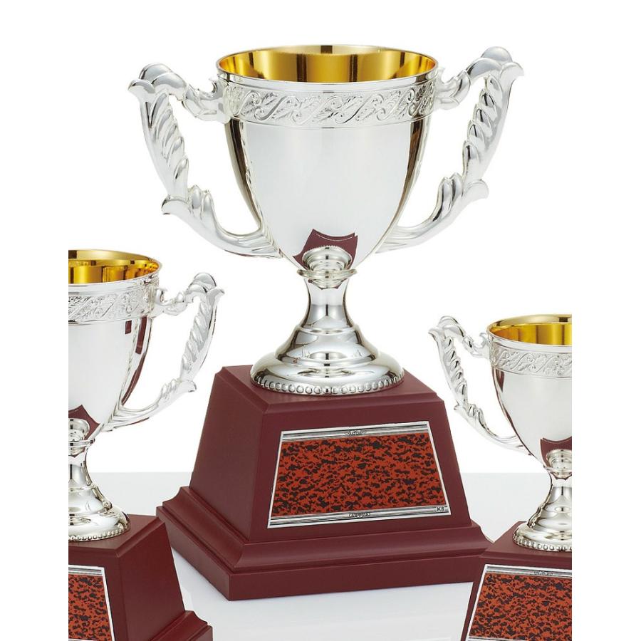 優勝カップトロフィー 高さ25 5cm C1637b 在庫あり 即納