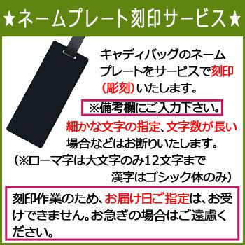 BRIDGESTONE GOLF (数量限定)ブリヂストンゴルフ メジャーコレクション