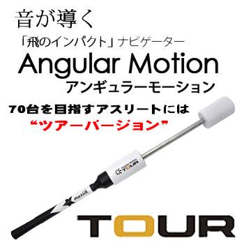 Angular Motion TOUR アンギュラー モーション 左右兼用 LITE（ライト） アンギュラーモーション ツアーWH 左右兼用 (G-279