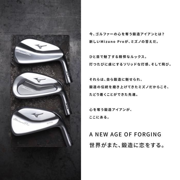 Mizuno Pro ミズノ ミズノプロ 245 アイアン 単品(No.4、GW) (N.S.PRO