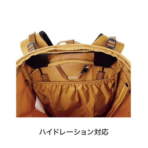 blue ice ブルーアイス チル 25L インディアインク