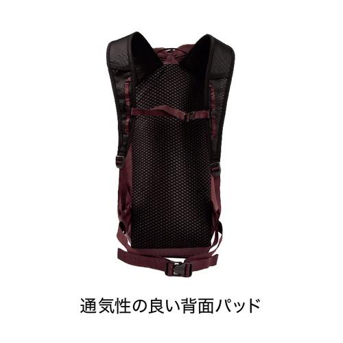 blue ice ブルーアイス ドラゴンフライ 18Lレッドクレーワンサイズの画像