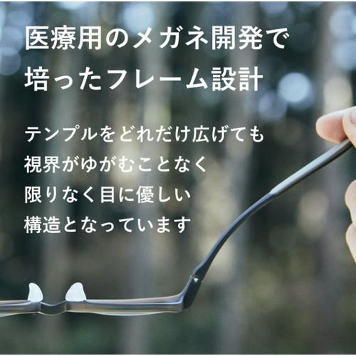 SOLAIZ ソライズ SLD-001 TEA /偏光GRYの画像