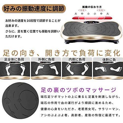 ダイエット ットマシン バランスウェーブ ぶるぶるマシン 室内 