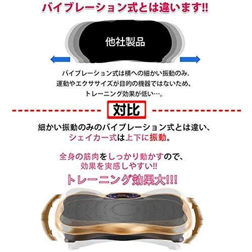 ダイエット ットマシン バランスウェーブ ぶるぶるマシン 室内 