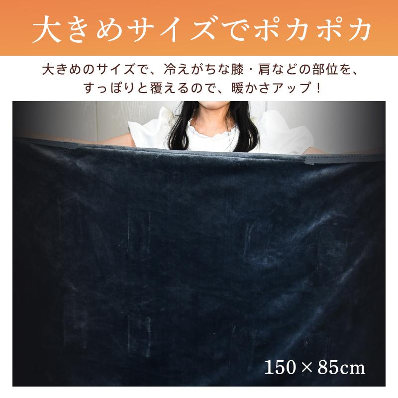 高級電気毛布 150×85cm 3段階温度調節 メーカー希望小売価格68900円 高級電気毛布 150×85cm 3段階温度調節 メーカー希望小売価格68900円