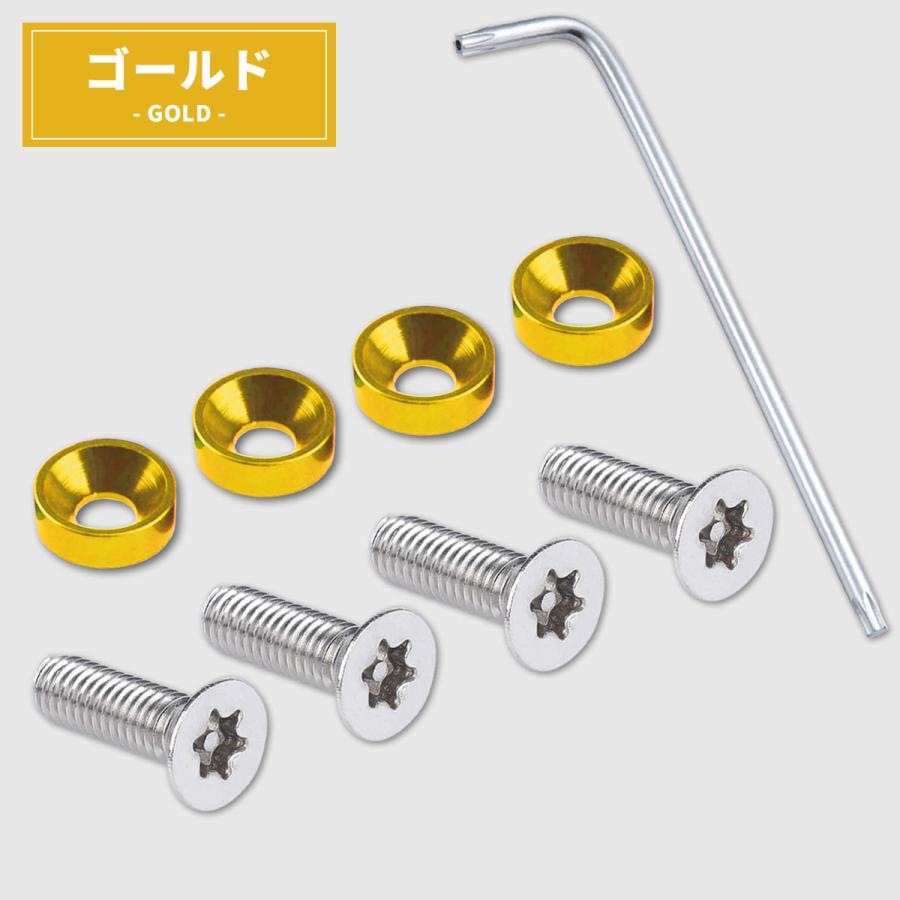 ナンバープレート ボルト 盗難防止 ネジ ナンバーボルト ステンレス ワッシャー 盗難防止用ボルト | ブランド登録なし | 15