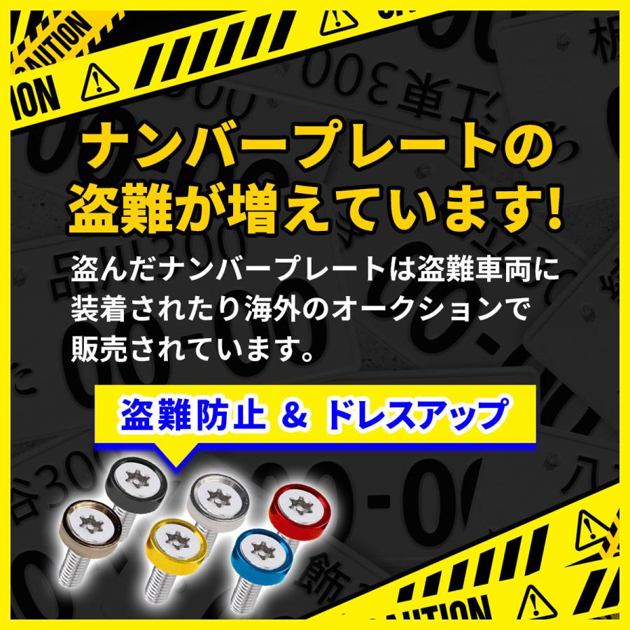 ナンバープレート ボルト 盗難防止 ネジ ナンバーボルト ステンレス ワッシャー 盗難防止用ボルト | ブランド登録なし | 06