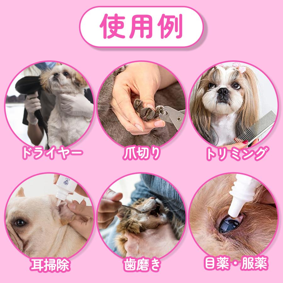 グルーミング と は 犬