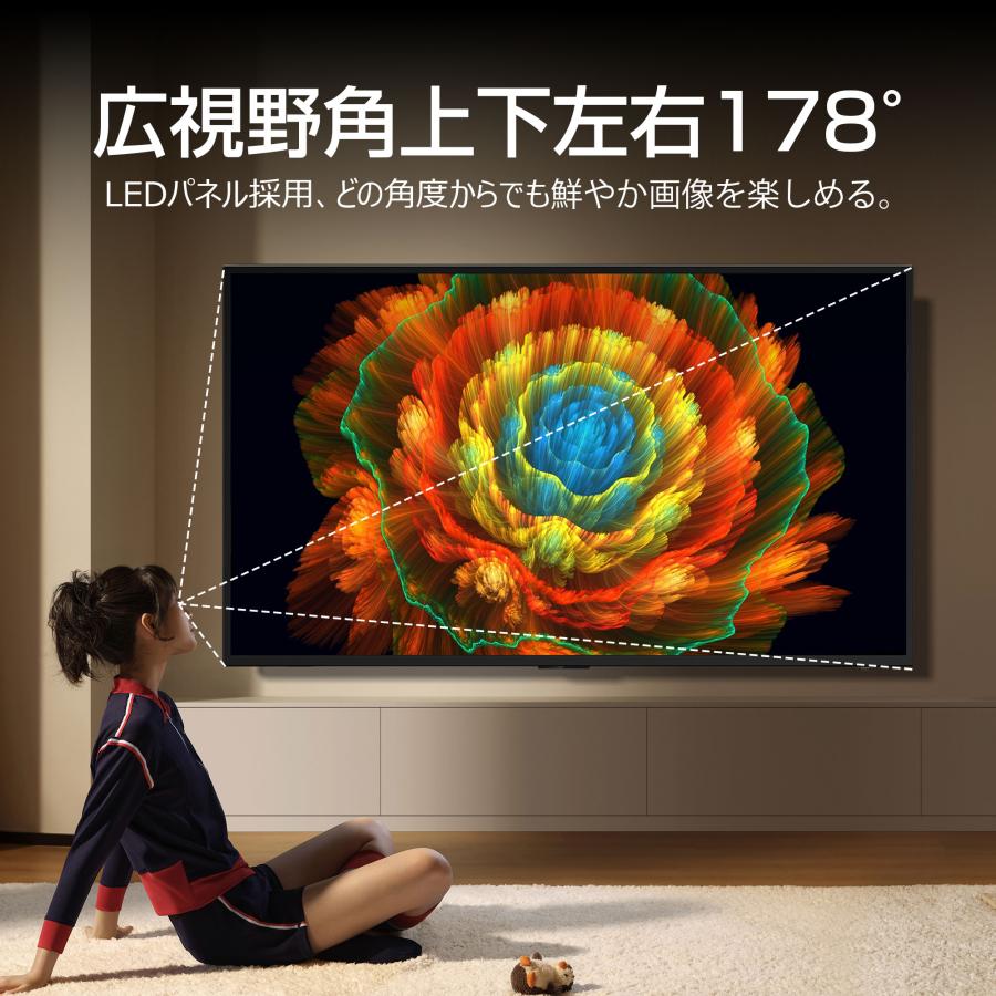 4Kモニター 50インチ 大型液晶モニター HDR HDMI USB再生対応 : WIS
