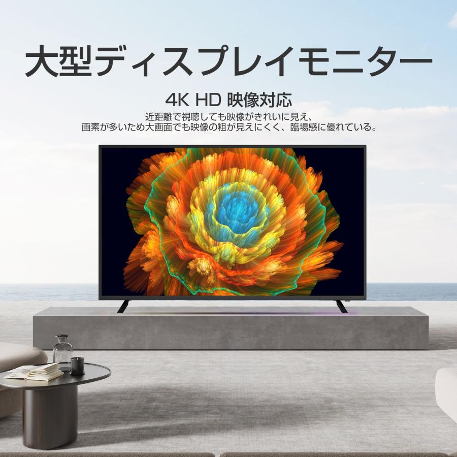 4Kモニター 50インチ 大型液晶モニター HDR HDMI USB再生対応 : WIS