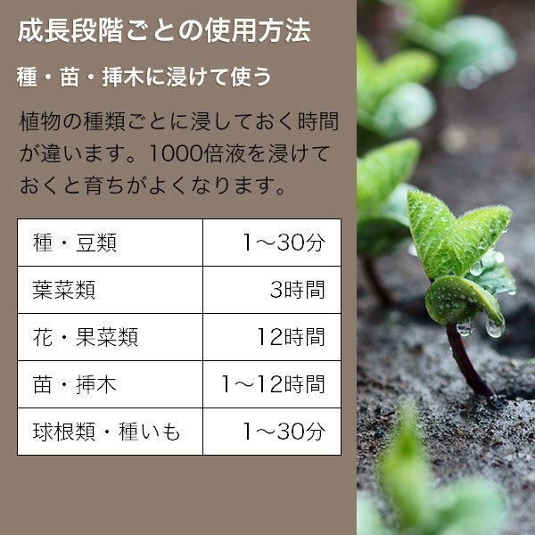 HB-101 1L フローラ 活力剤 HB101 植物 バラ 野菜 芝生 観葉植物 植物