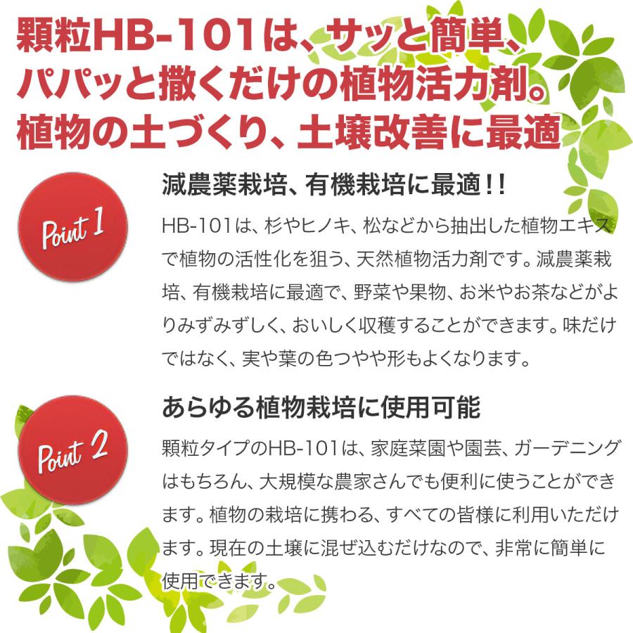 フローラ 顆粒 HB-101 1kg 活力剤 HB101 顆粒 活力剤 植物 活力剤 バラ