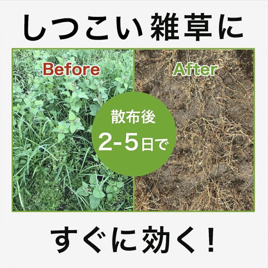 除草剤 バスタ AL シャワータイプ 2.5L×6本 BASF BASTA 強力 除草剤 バスタ AL シャワータイプ 2.5L×6本 BASF BASTA 強力