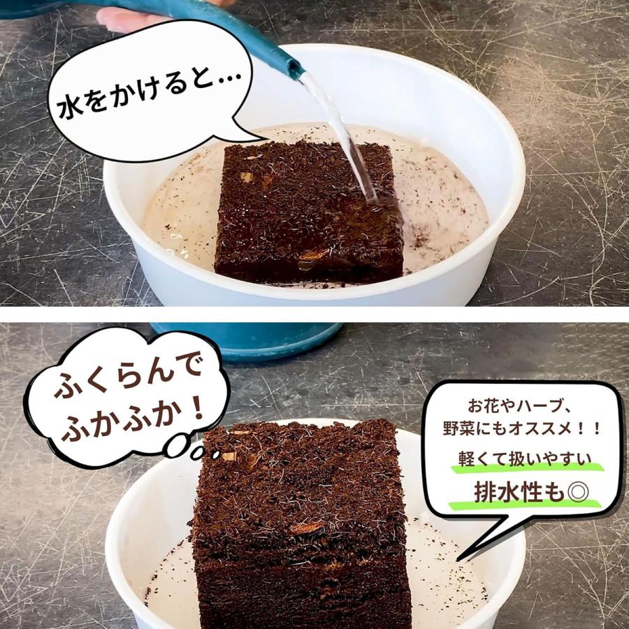 培養土 土ブロック 2L 復元ディスク プロトリーフ 肥料入 ココヤシ 超