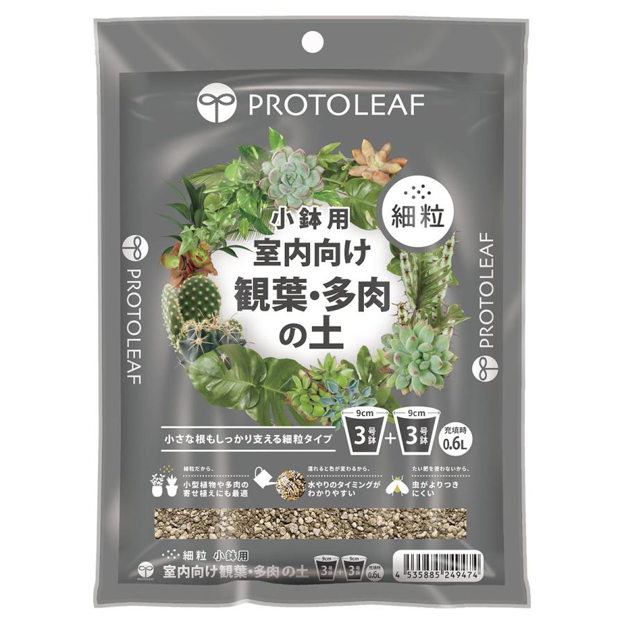 Top【選抜株】多肉植物　266038ワイルドコロラータ　6個　鉢無し/脱土 培養土 室内向け観葉・多肉の土 細粒 0.6L 小鉢用 プロトリーフ 観葉
