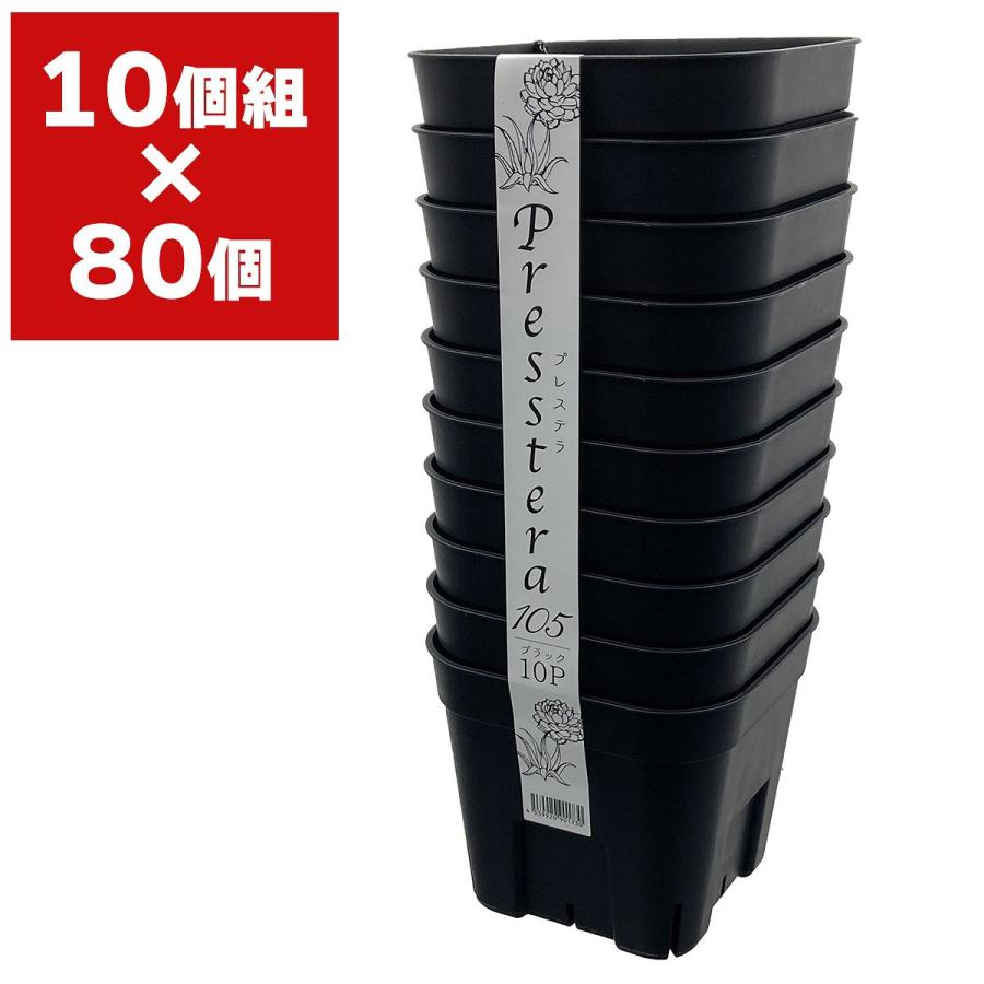 プレステラ大量セット売り　総数350個以上 プレステラ大量セット売り 総数350個以上 0dffacb634629fcceeda971b4caa60
