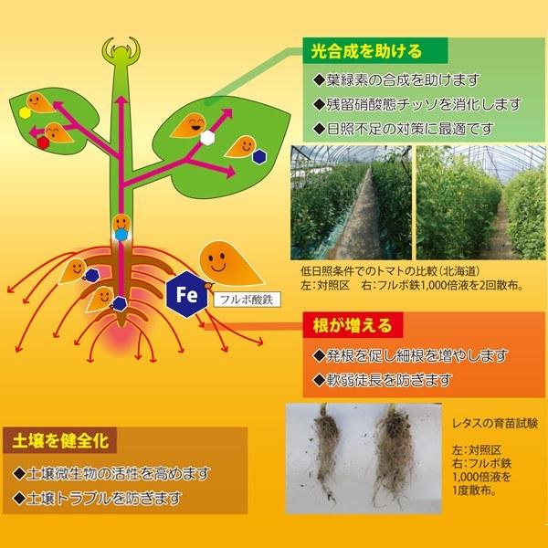 フルボ鉄+マルチミネラル 1kg PIC-BIO カナディアンフルボ マグネシウム 各種微量要素配合 光合成を助ける 根が増える 液体肥料｜wise-life｜03