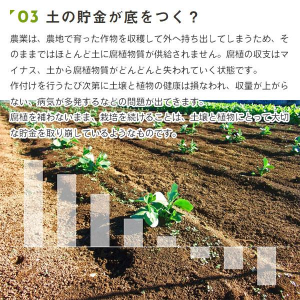 地力の素 カナディアンフミン 細粒 20kg PIC-BIO 土壌改良材｜wise-life｜04