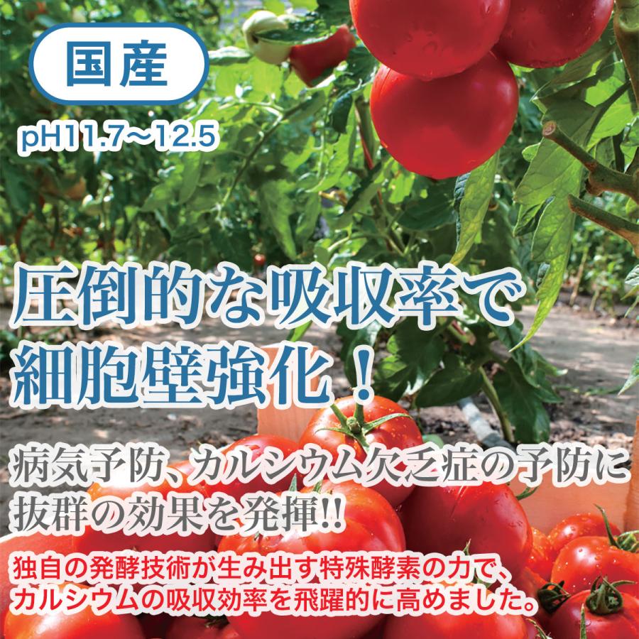 肥料 健花 (スコヤカ) 2kg 甘彩六花 野菜 バラ カルシウム肥料 バラ