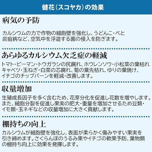 健花(スコヤカ) 10kg 甘彩六花 万能カルシウム剤 肥料 送料無料 代金引換不可 