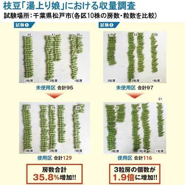 健花(スコヤカ) 10kg 甘彩六花 万能カルシウム剤 肥料 送料無料 代金引換不可 