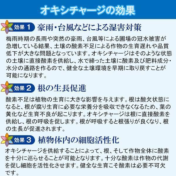 活力剤 オキシチャージ 10kg 甘彩六花 植物 業務用 植物活力剤 発根