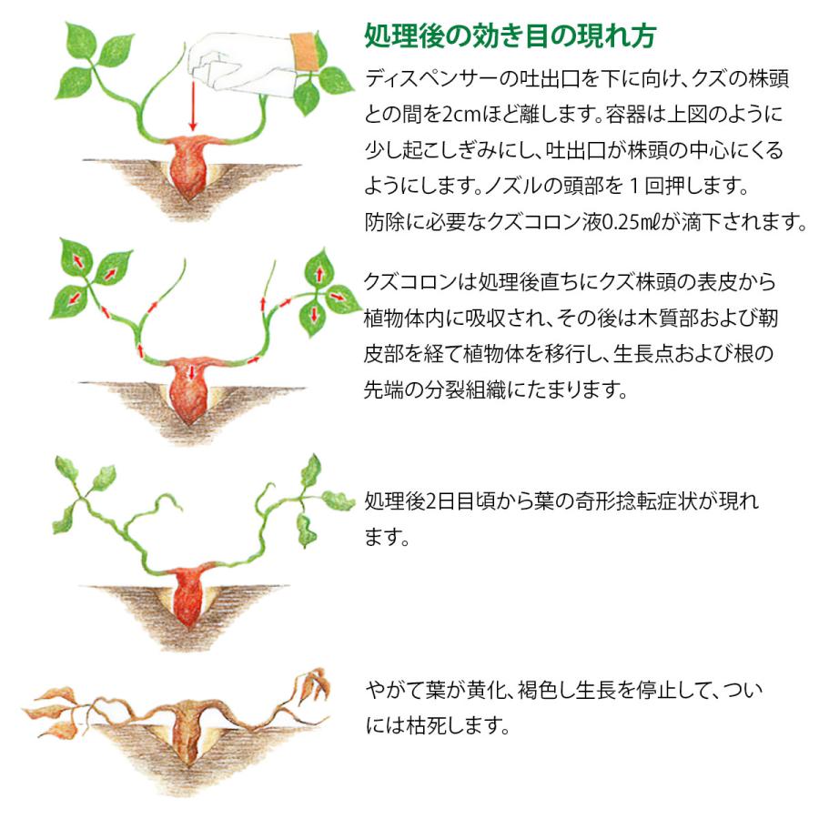 葛 除草 方法