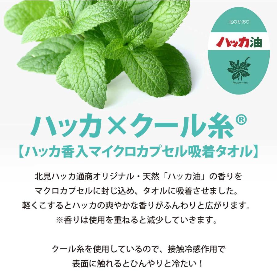 北見ハッカ通商 保冷剤付クールミントタオルマフラー ランダムミント