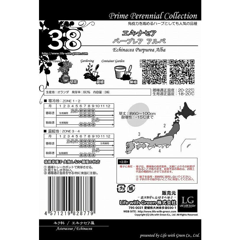 花種 エキナセア パープレア アルバ 38 Am ワイズライフyahoo 店 通販 Yahoo ショッピング