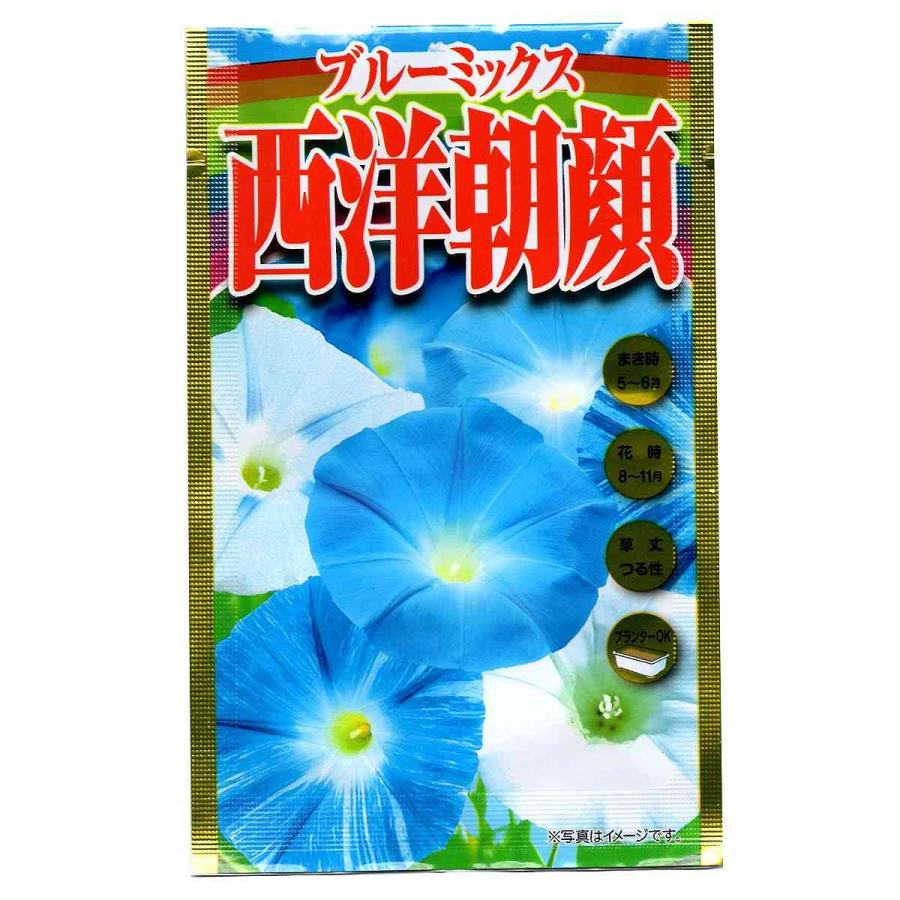 ブルーミックス 西洋朝顔 アタリヤ農園 花種 : ワイズライフYahoo!店