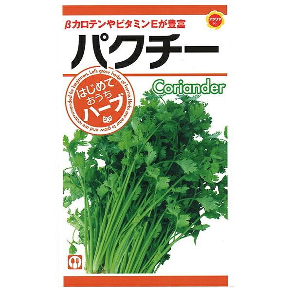 パクチー アタリヤ農園 Coriander 全商品オープニング価格特別価格 ベータカロテンやビタミンeが豊富 ハーブ種 M はじめておうちでハーブ
