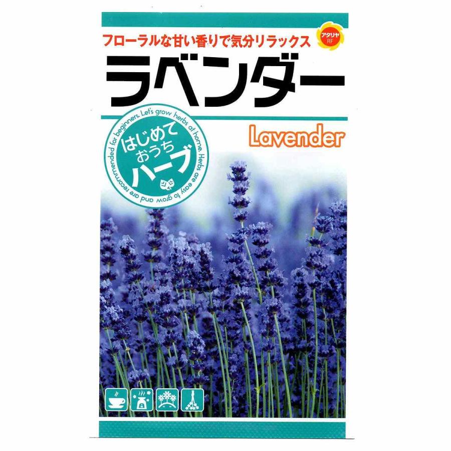 素晴らしい外見 ラベンダー アタリヤ農園 Lavender フローラルな甘い香りで気分リラックス はじめておうちでハーブ ハーブ種 M Aynaelda Com