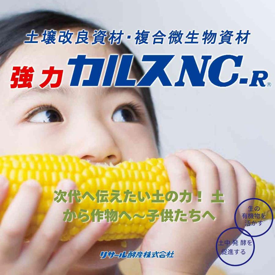 リサール酵産 土壌改良資材 強力 カルスNC-R 10kg×2袋 土壌改良 カルス