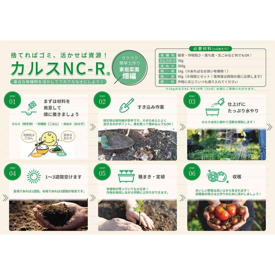 カルスNC-R 粒状10kg 　2袋 リサール酵産 土壌改良資材 強力 粒状カルスNC-R 10kg×2袋 土壌改良