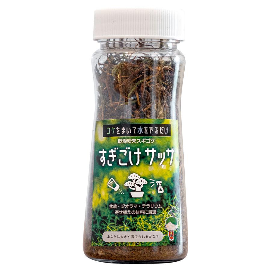 乾燥粉末スギゴケ すぎごけサッサ ビックアロー 盆栽 苔 ジオラマ