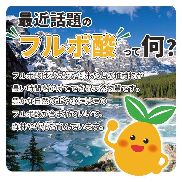 家庭園芸用 地力の素 驚くほど根がぐんぐん伸びる素 500g フルビオ