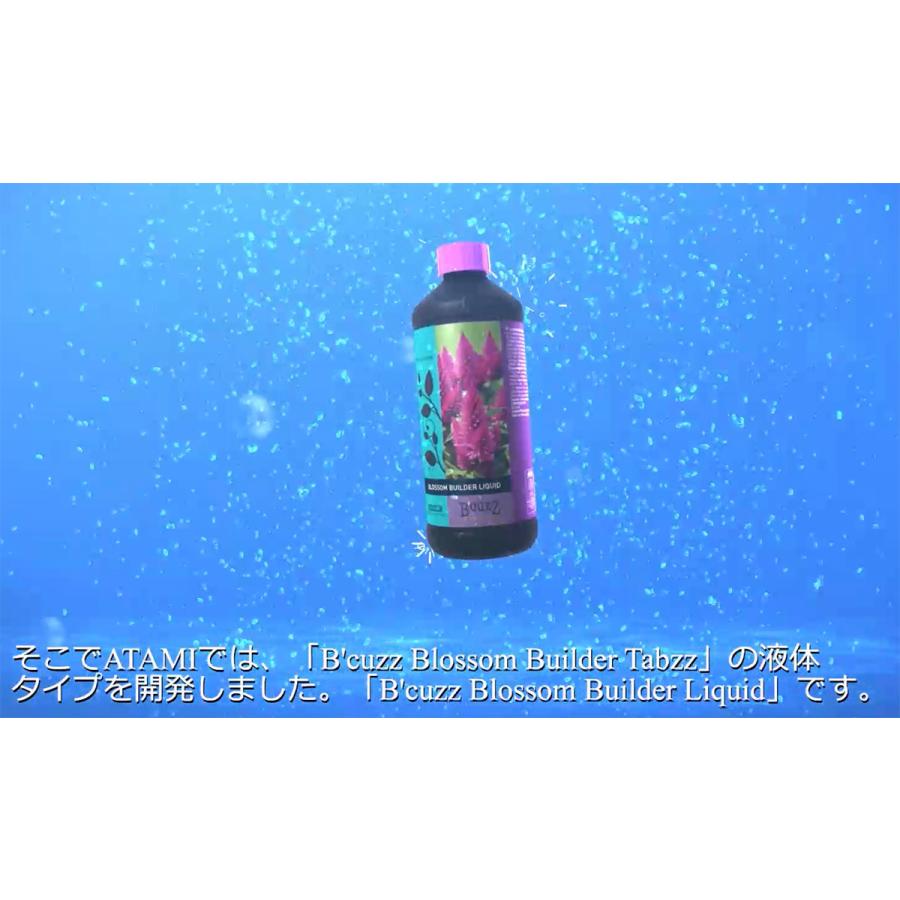 B'CUZZ BLOSSOM BUILDER LIQUID(ビーカズ ブロッサム ビルダー リキッド) 1L ATAMI 水耕栽培 土耕栽培 開花促進剤｜wise-life｜03